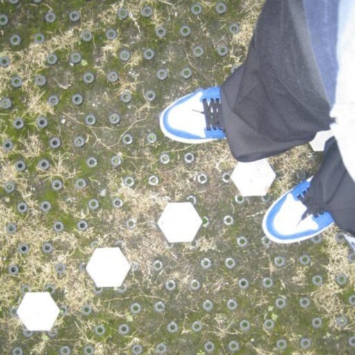 あの日に帰ろう