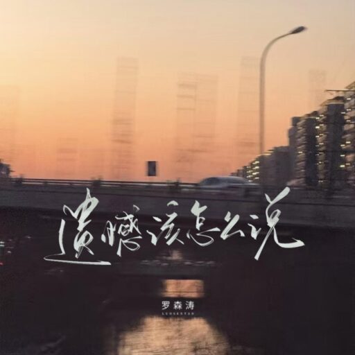 遗憾该怎么说