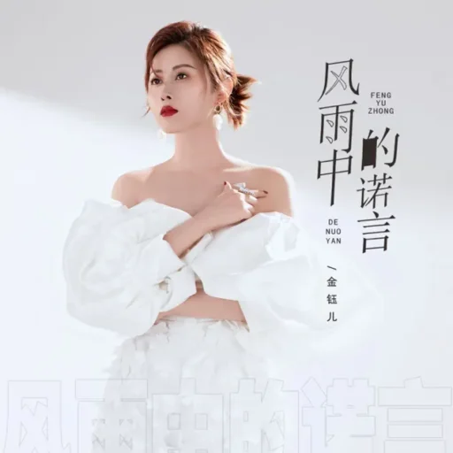 风雨中的诺言 – Single