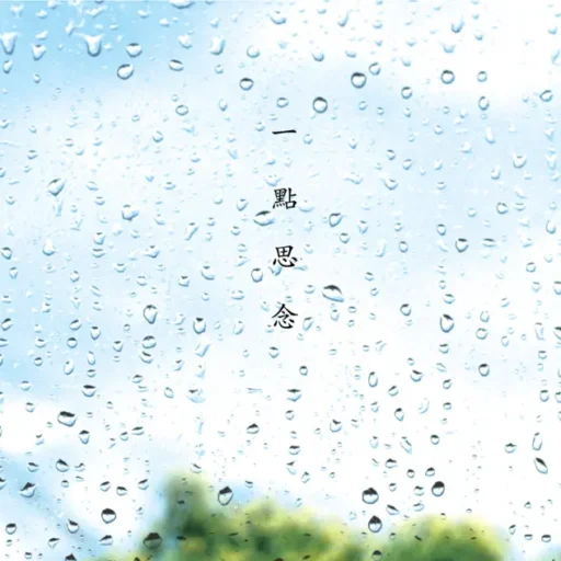 一点思念（民乐参考级录音专辑）