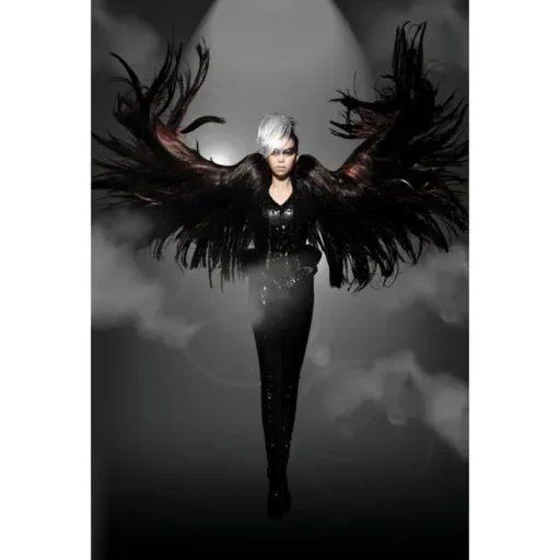 阿密特 意识专辑 (感官升级版)