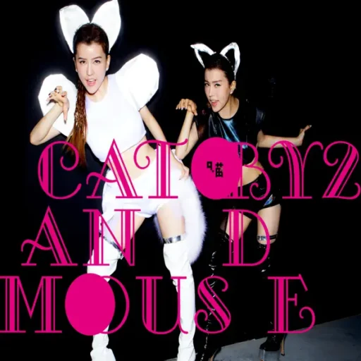 Cat and Mouse
