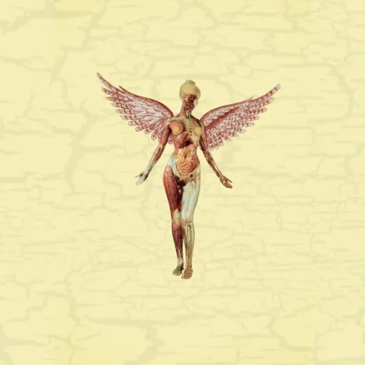 In Utero (20th Anniversary Edition)