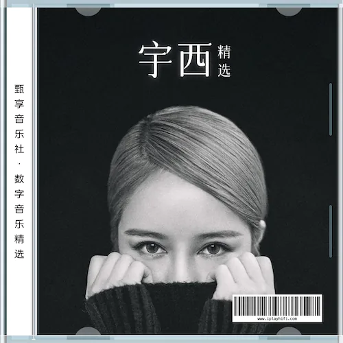 抖音音乐人宇西 数字音乐精选集