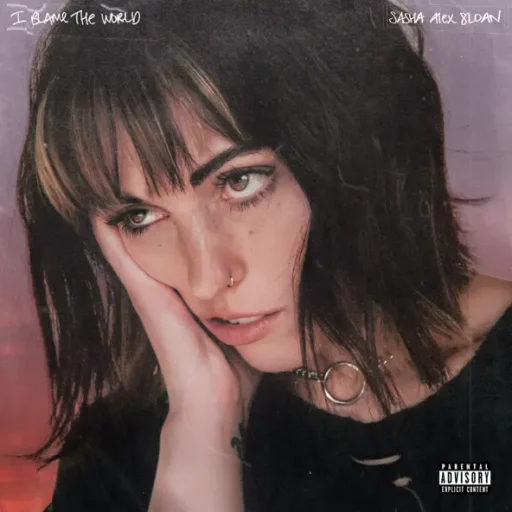I Blame The World