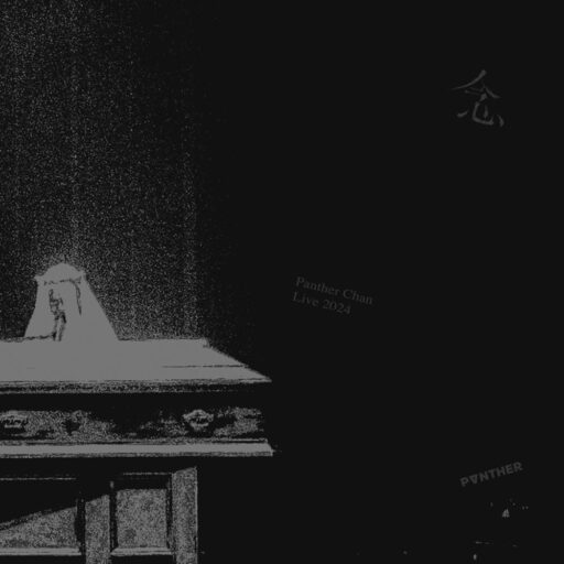 陈蕾演唱会2024《念》 (Live)