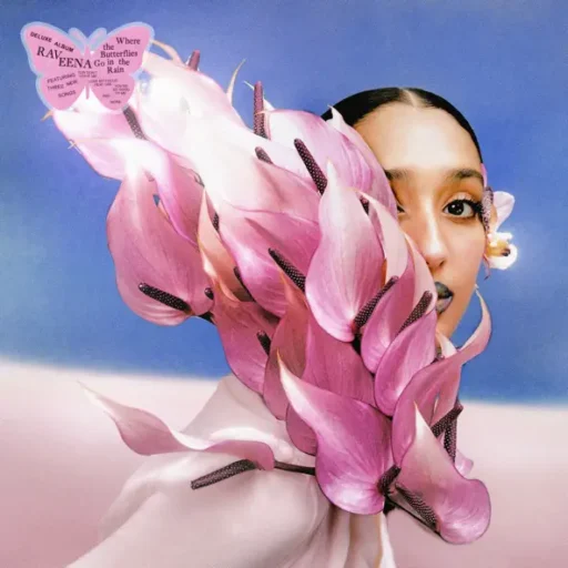 Where the Butterflies Go in the Rain