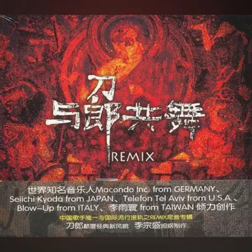 与郎共舞REMIX