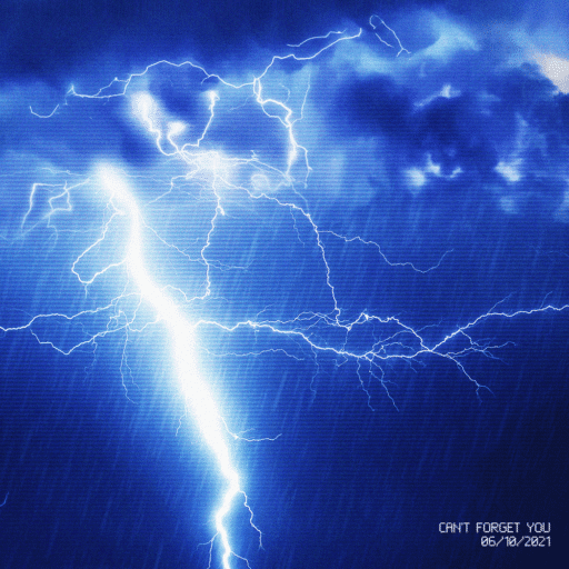 忘不掉的你-single