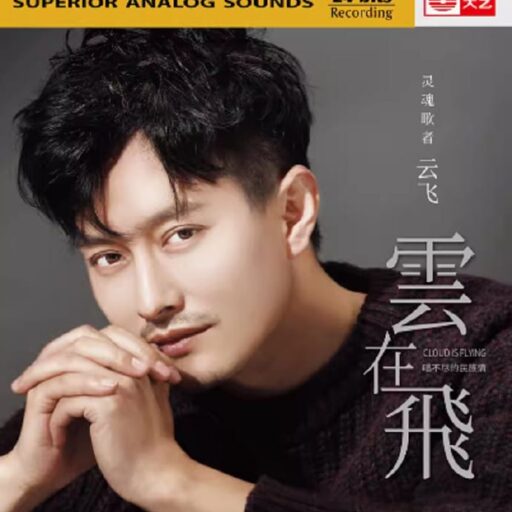 云在飞