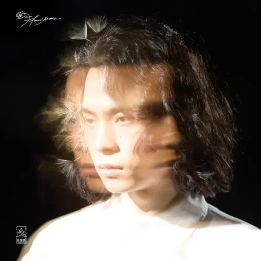 昨晚我梦见这里