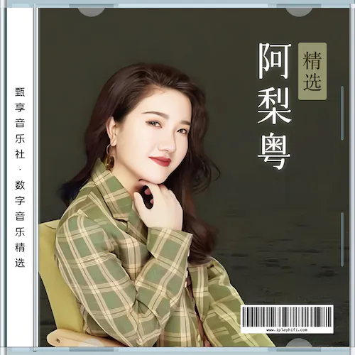 阿梨粤 数字音乐精选集