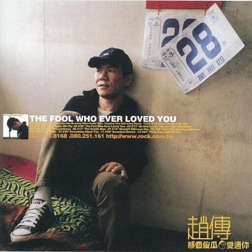 那個傻瓜愛過你