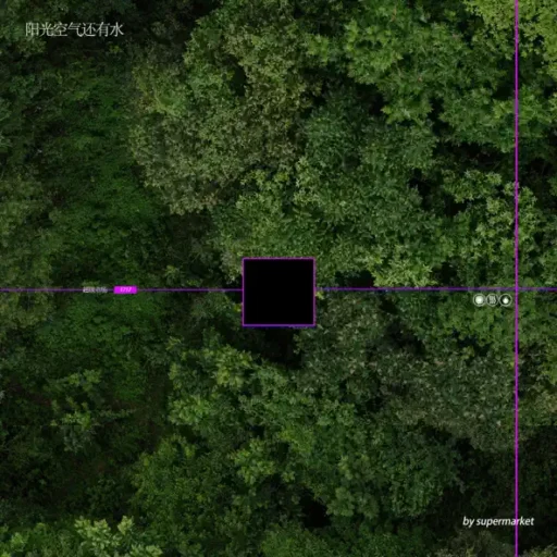 阳光，空气，还有水