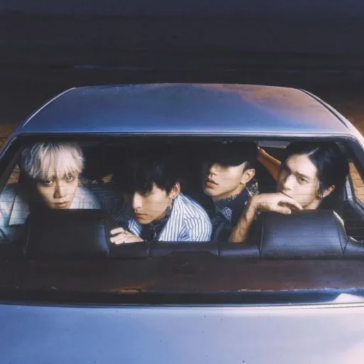 在没有答案的日子里