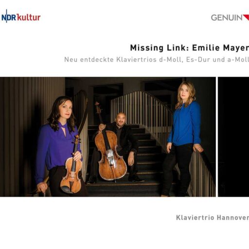 缺失的环节 (Missing Link)