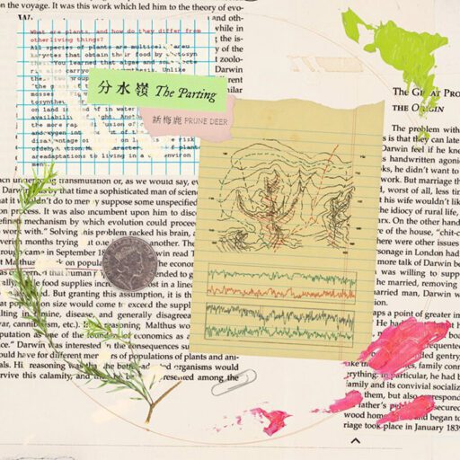 分水岭 The Parting