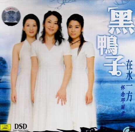 在水一方.怀念邓丽君