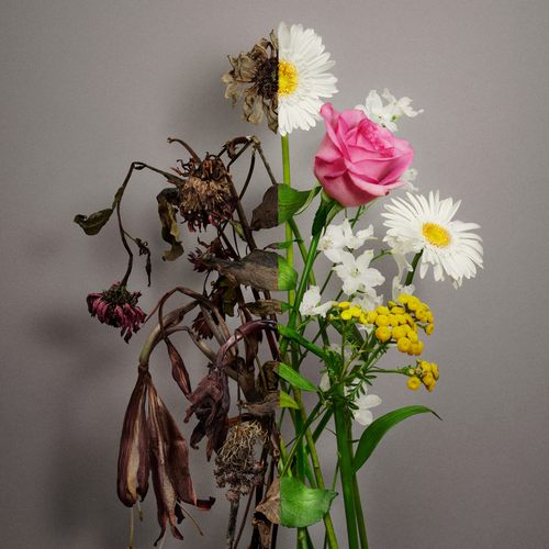 Unfading Sense – The 5th Mini Album