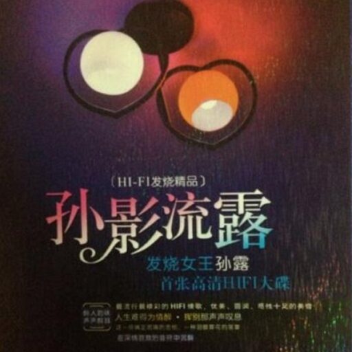 孙影流露·HI-FI发烧精品