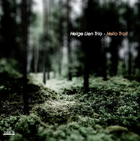 Hello Troll  你好巨魔