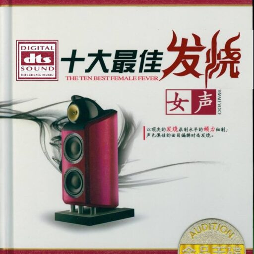 十大最佳发烧女声2CD
