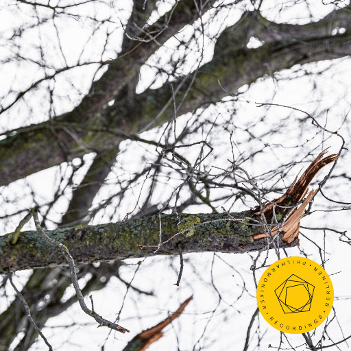 拉赫玛尼诺夫: 第二交响曲