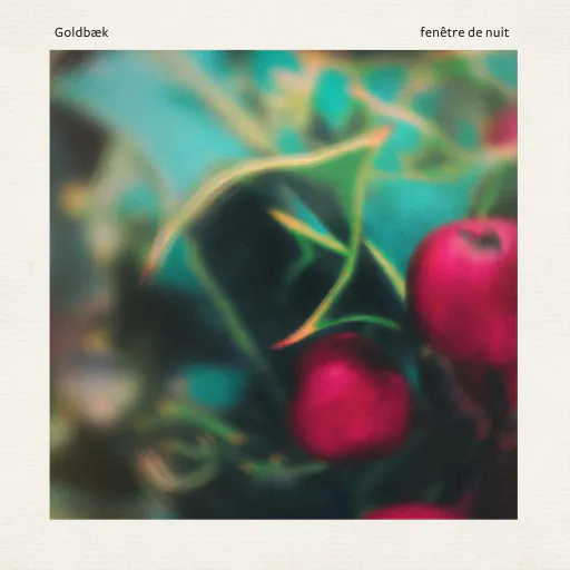 黑夜之门 (Fenêtre de nuit)