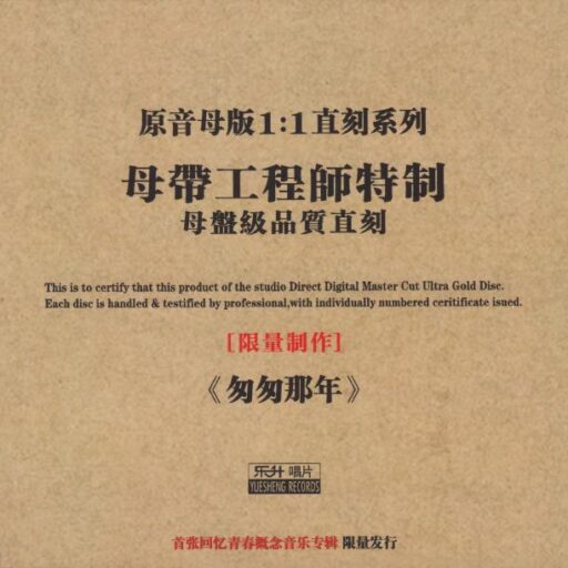 匆匆那年 限量版