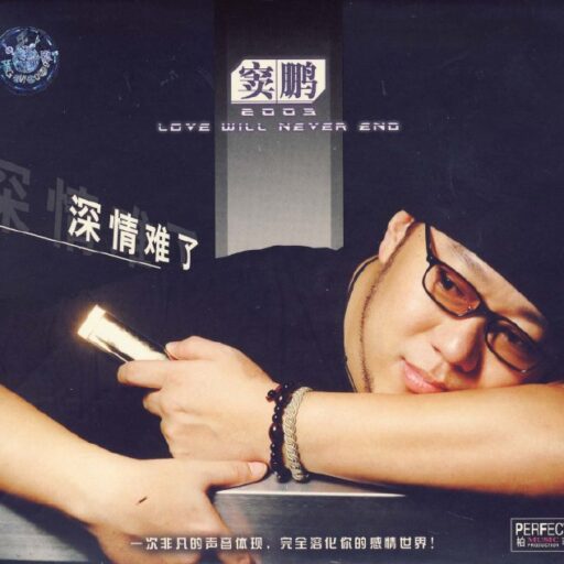 深情难了 限量版