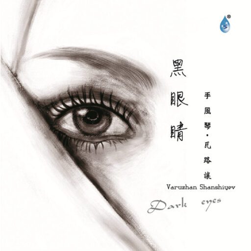 黑眼睛 (手风琴)