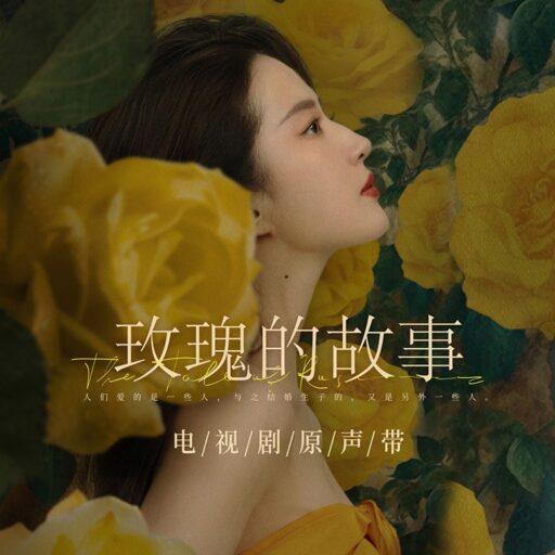 《玫瑰的故事》电视剧原声带