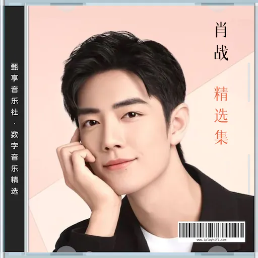 肖战 数字音乐精选