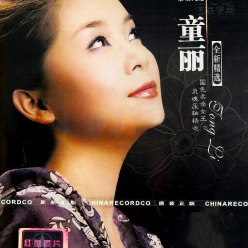 童丽 柔桑天后全新精选1