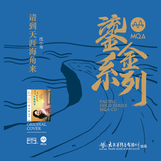 沈小岑——请到天涯海角来 (2.8MHz DSD)