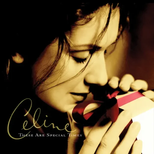 [圣诞特辑] These Are Special Times