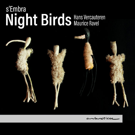 夜行鸟 (Night Birds)