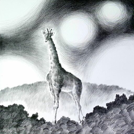 조규찬 10 1st Half-EP