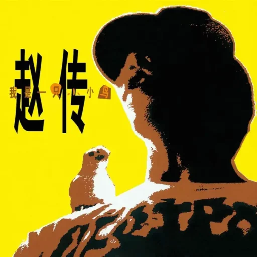 我是一只小小鸟