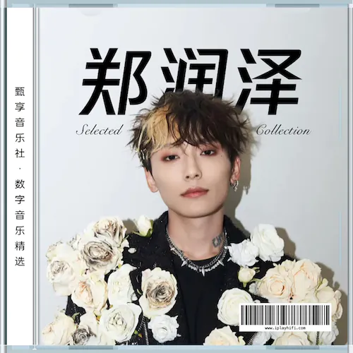 郑润泽 数字音乐精选集