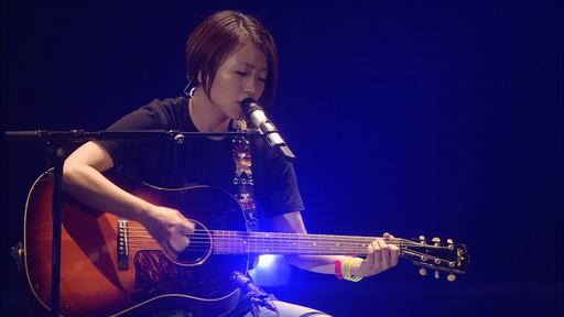 宇多田光 Utada Hikaru-WILD LIFE 2010 暂别歌坛演唱会《ISO 45.1G》