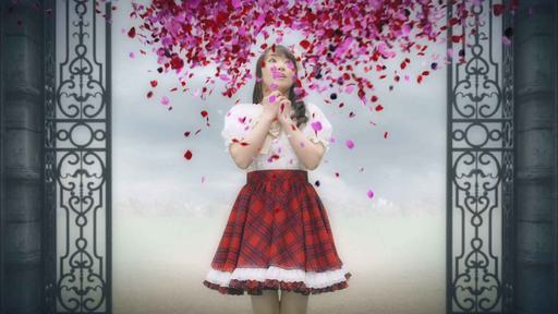 水树奈奈演唱会 NANA MIZUKI LIVE THEATER 2015 -ACOUSTIC《BDMV 双碟 82.2G》