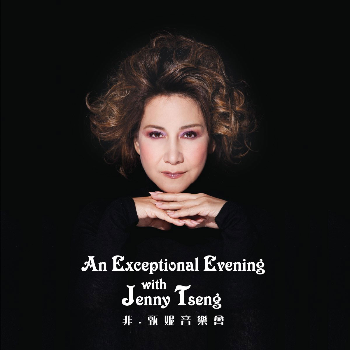 非·甄妮音乐会 An Exceptional Evening with Jenny Tseng 2014 BluRay REMUX版 [BDMV 33.21G]