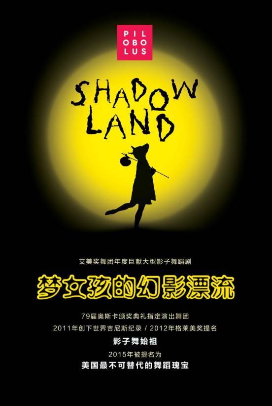影子舞蹈 – 梦女孩的幻影漂流 Shadowland 2013《Remux MKV 16.4G》