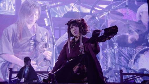 和乐器乐队2017日本东京体育馆演唱会 Wagakki Band Daishinnenkai 2017 Tokyo《ISO 2BD 61G》