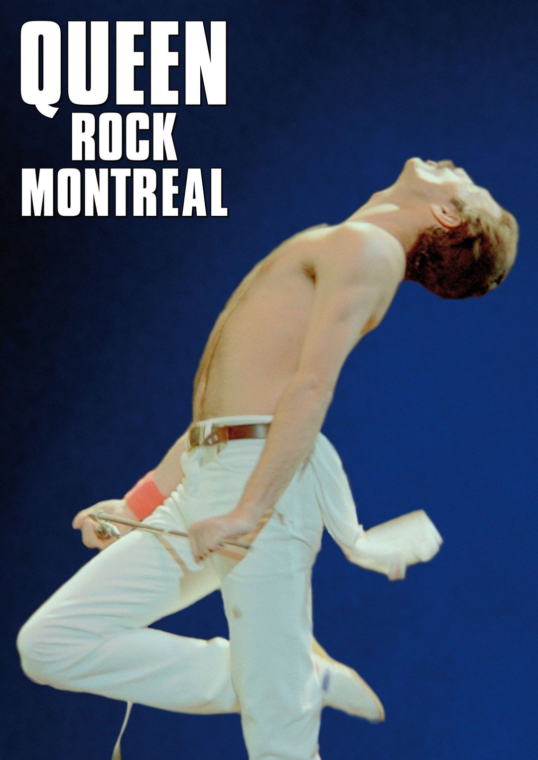皇后乐队 蒙特利尔现场演唱会 Queen Rock Montreal & Live Aid 2007 1080p BluRay x264 DTS 5.1《Remux MKV 14.1GB》