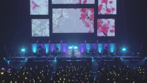 Pile 2017 武道馆演唱会 《BDMV 44.14》