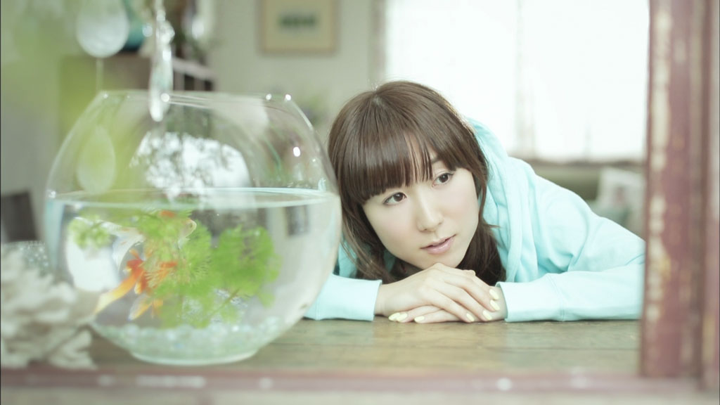 蝴蝶 ChouCho ColleCtion “bouquet” 2016 初回限定盘《BDISO 18.5G》