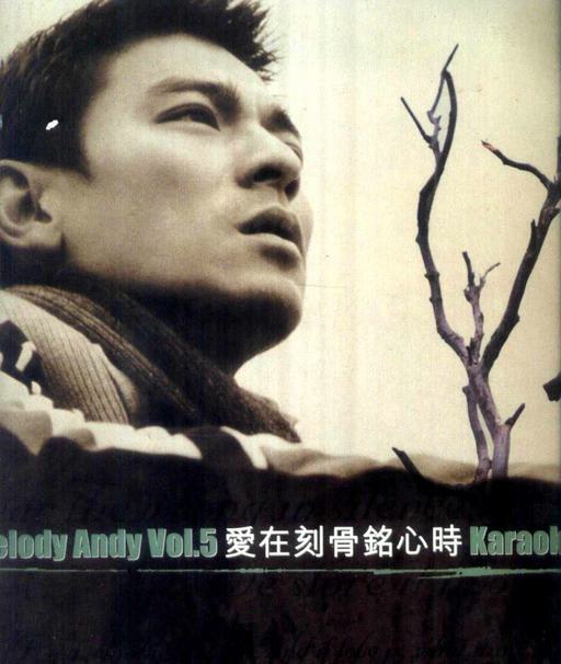 刘德华 – 爱在刻骨铭心时[KTV][MDF4.06GB]