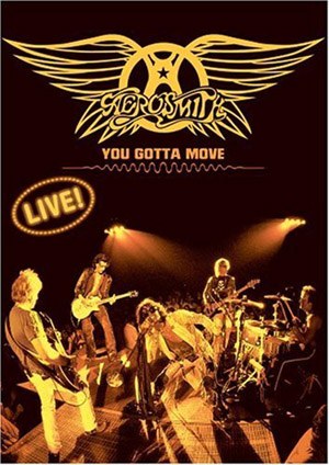 Aerosmith – Live You Gotta Move（DVD ISO 4.33G）